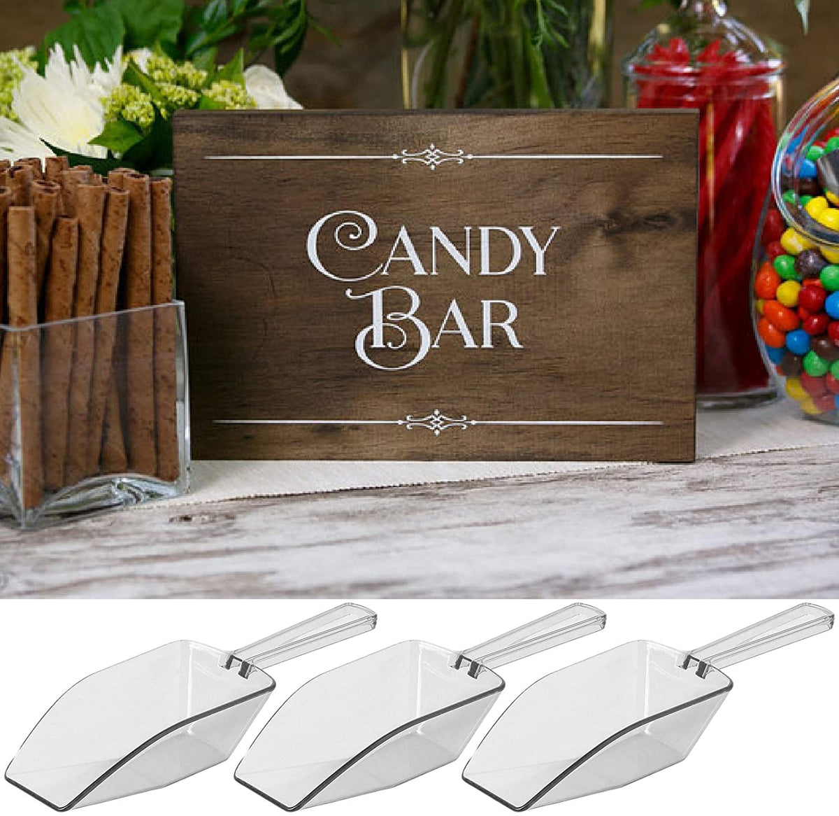 Acrylic Scoop Set