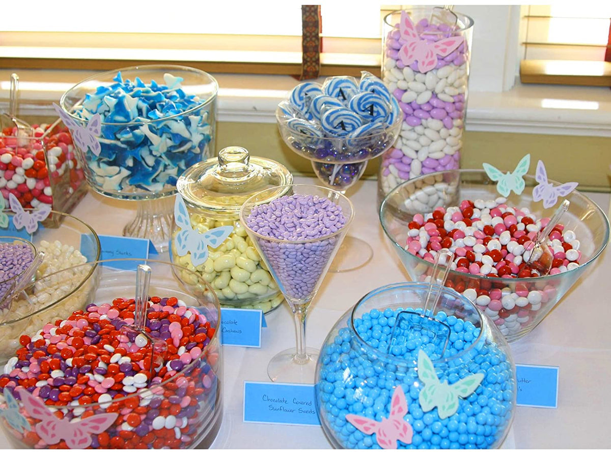 Acrylic Scoop Set